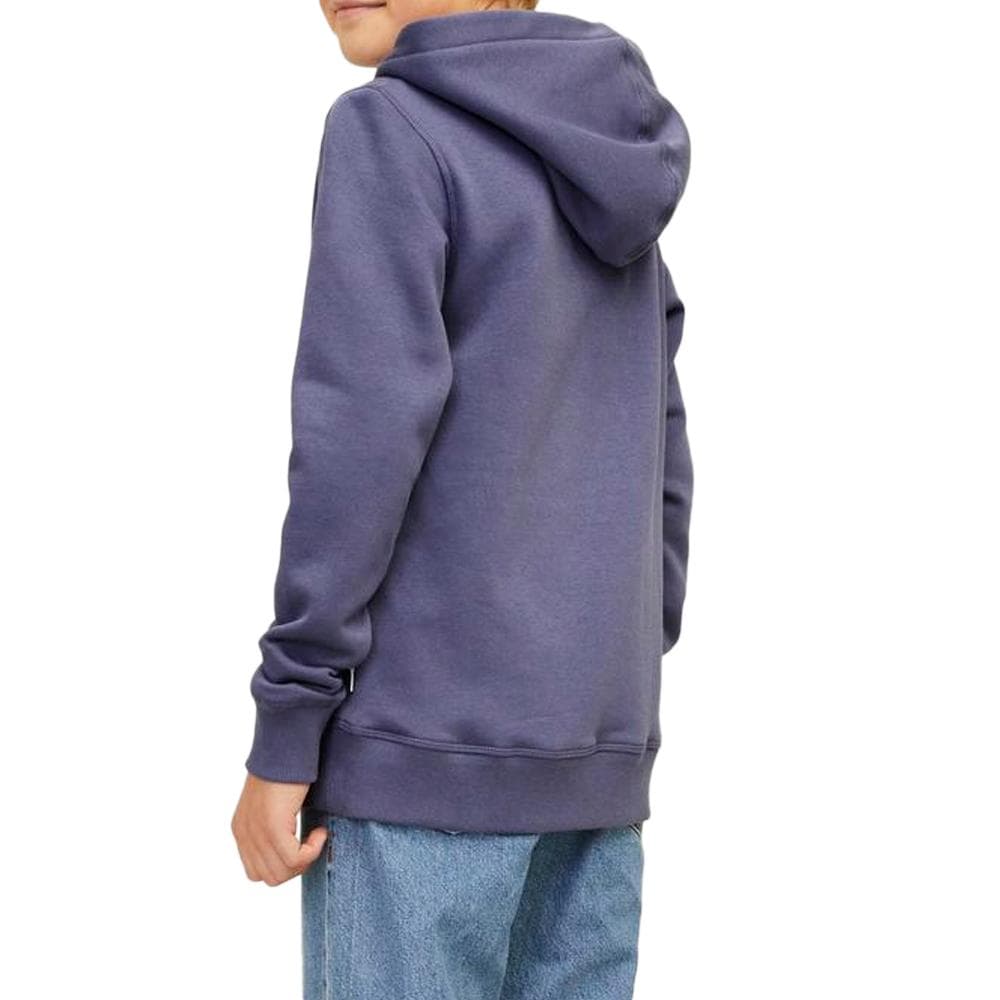 Sweat Bleu Garçon Jack & Jones Jorfre 2