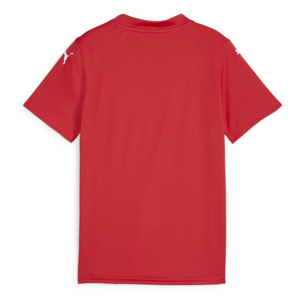 Maillot de football Rouge Garçon Puma Teamglory Jersey Jr 2