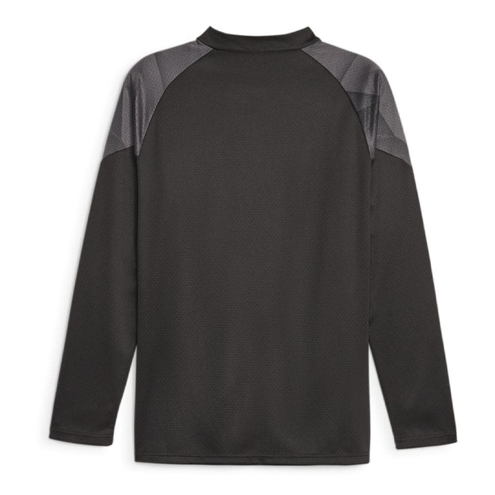 BVB Sweat de Training Noir Homme Puma 2023/24 2