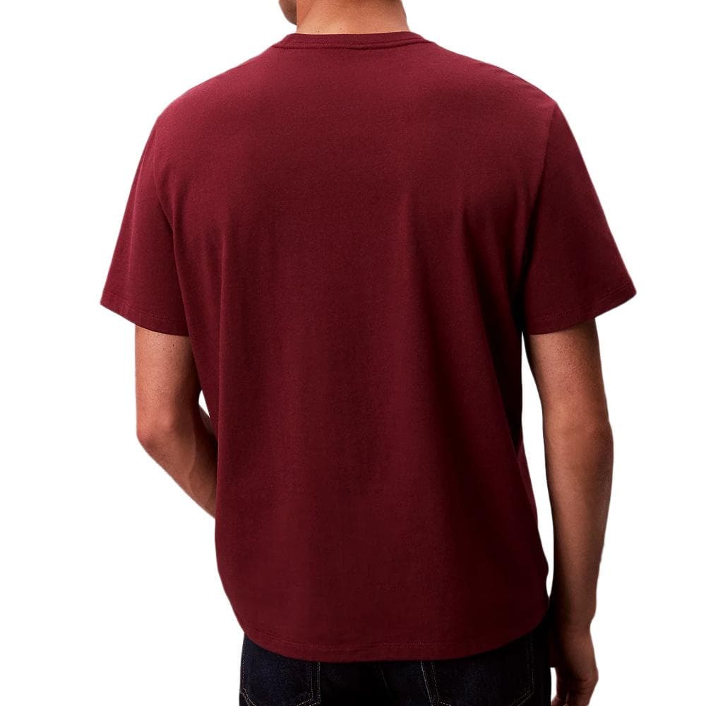 T-Shirt Bordeaux Homme Calvin Klein Jeans Hero LV04RB862G 2