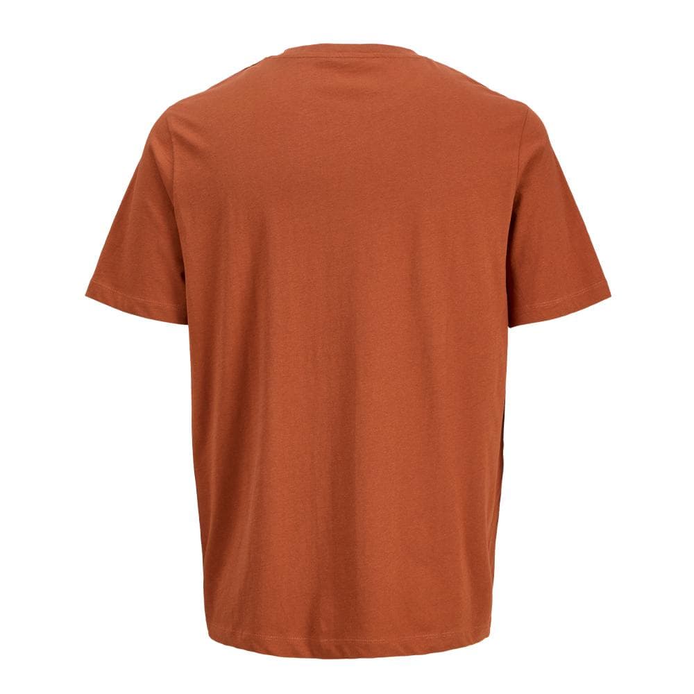 T-shirt Marron Garçon Jack & Jones Canggu 2