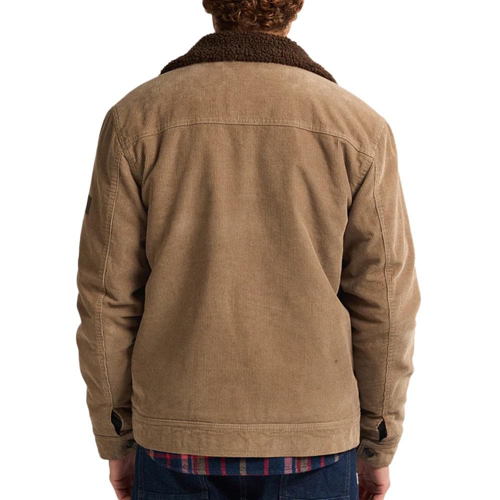 Veste Camel Homme Petrol Industries Padded 2