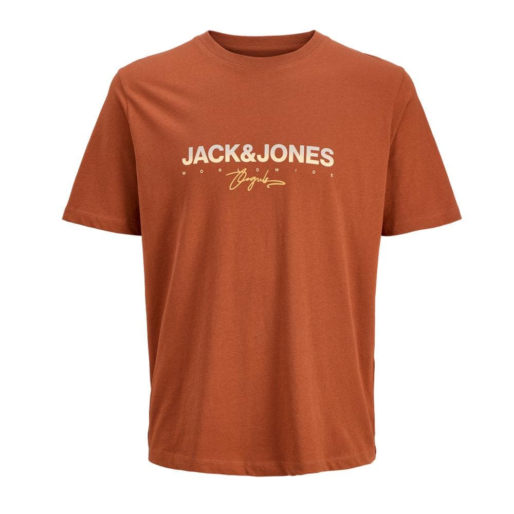 T-shirt Marron Garçon Jack & Jones Canggu 1
