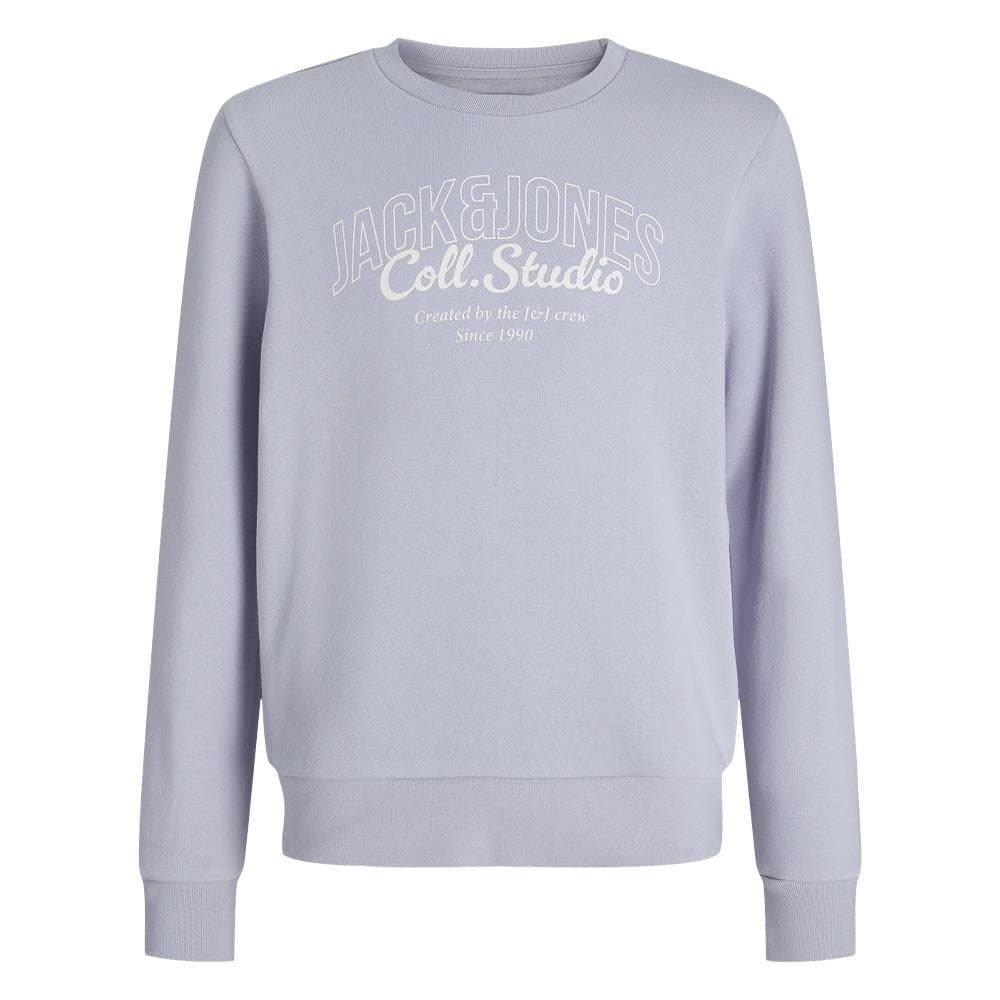 Sweat Mauve Garçon Jack & Jones Makoto 1