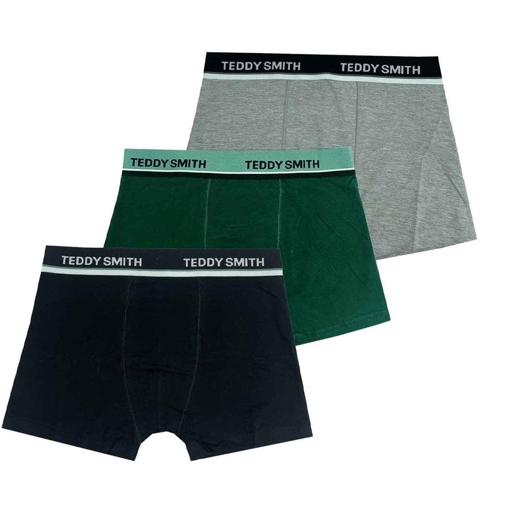 Lot de 3 Boxers Noir/Vert/Gris Homme Teddy Smith 1TS/52/9 1
