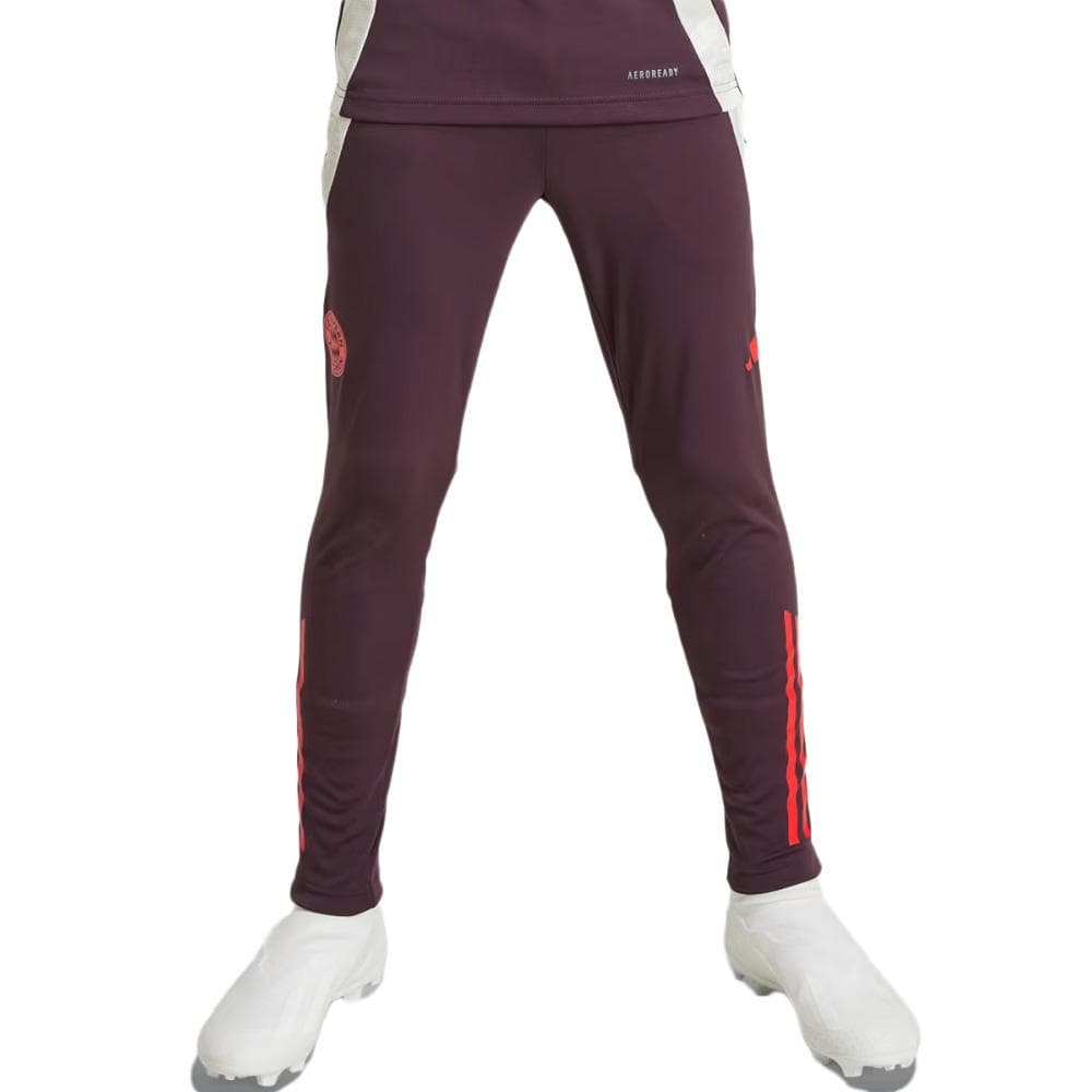 Bayern Munich Pantalon Training Bordeaux Junior Adidas Tiro 24 1
