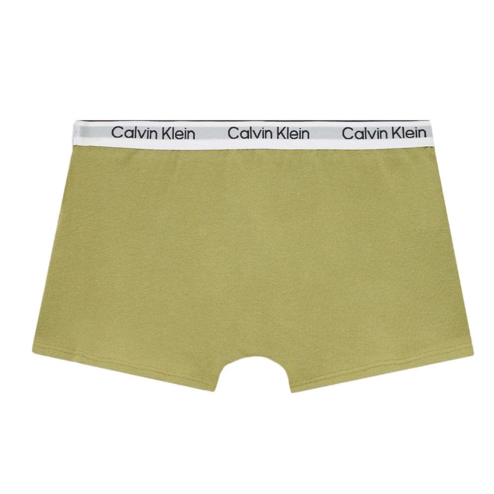 Lot de deux Boxers Vert Garçon Calvin Klein Jeans 2