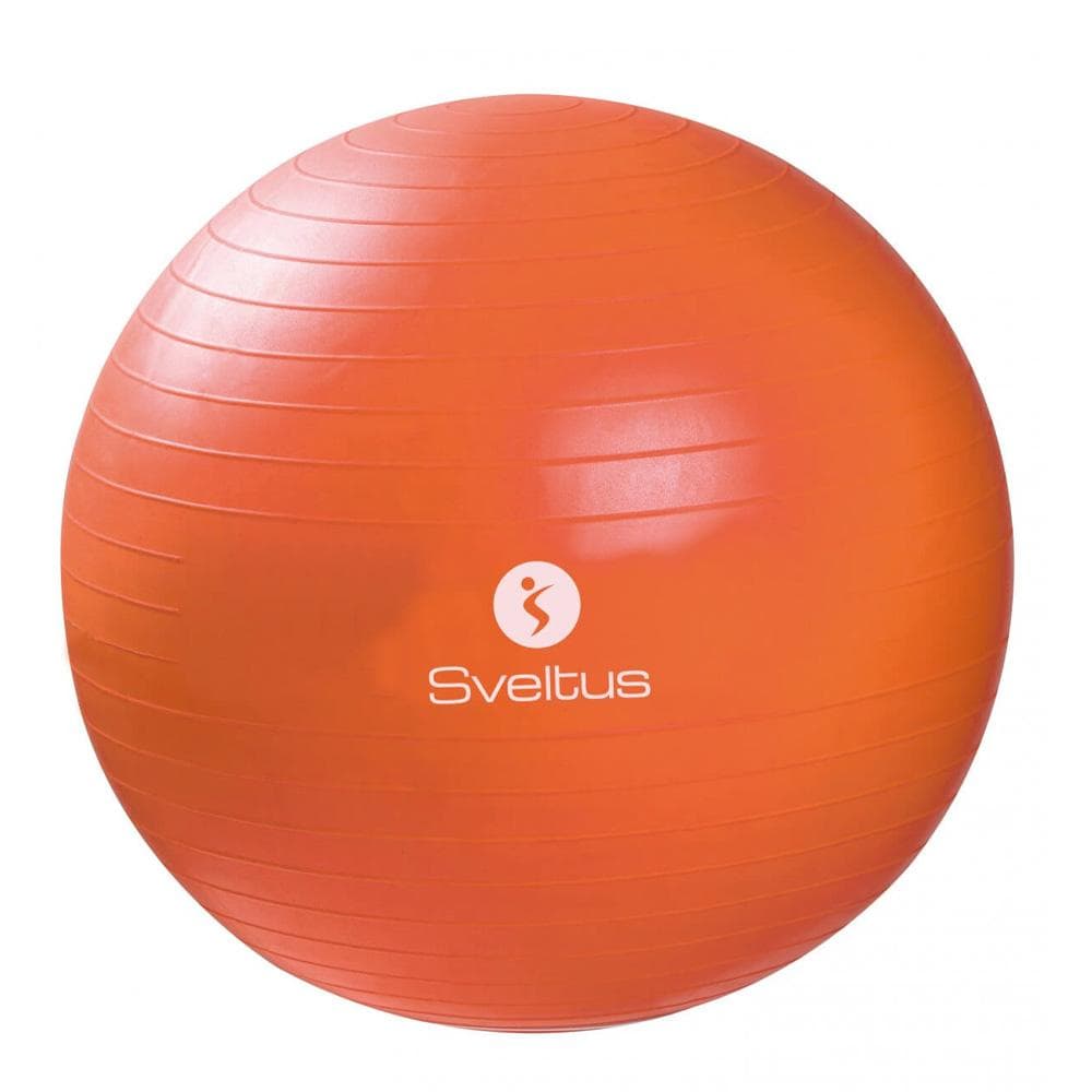 Ballon de Gymnastique Sveltus Orange 55 Cm 1