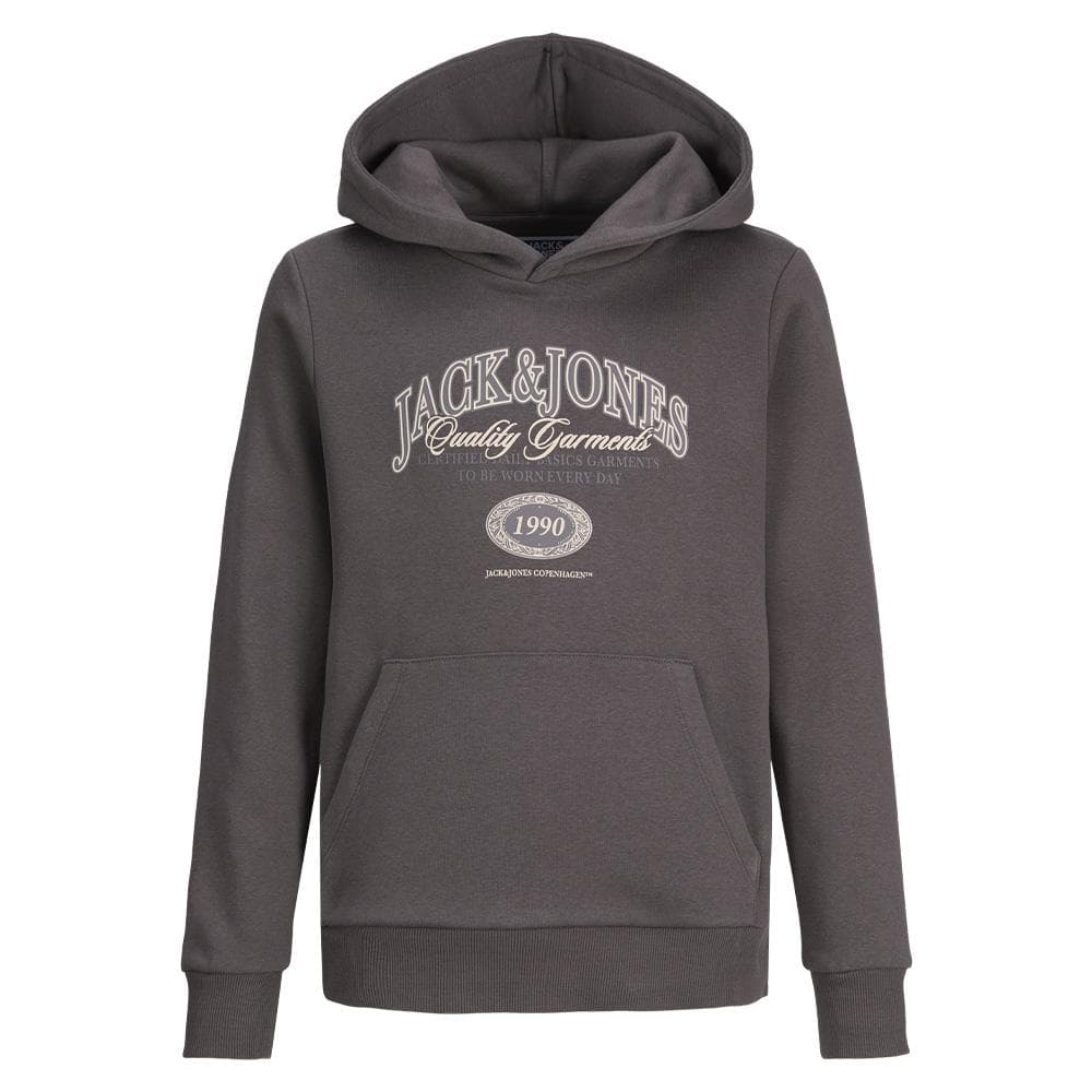 Sweat Gris Garçon Jack & Jones Ari 2