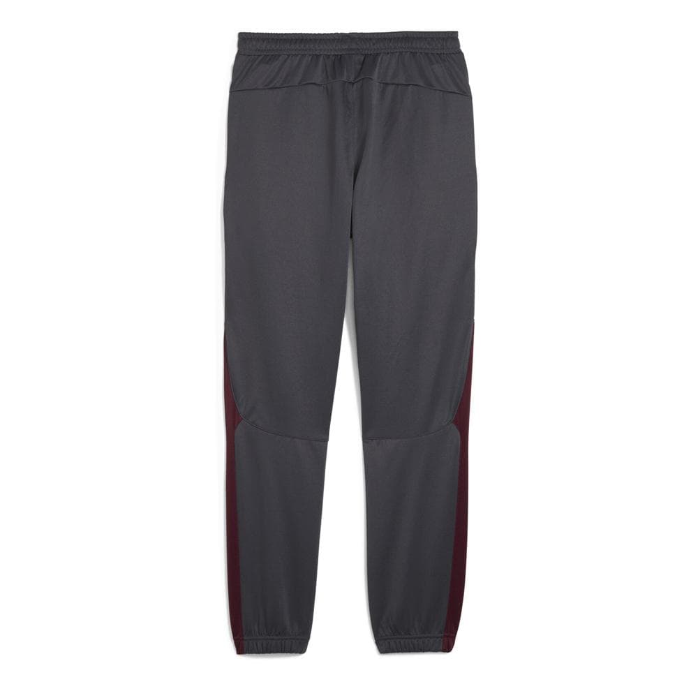Manchester City Jogging Gris Homme Puma 2024/25 2