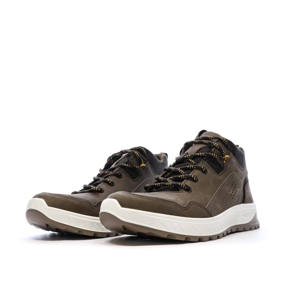 Baskets Marrons Homme TBS LAWRENS 6