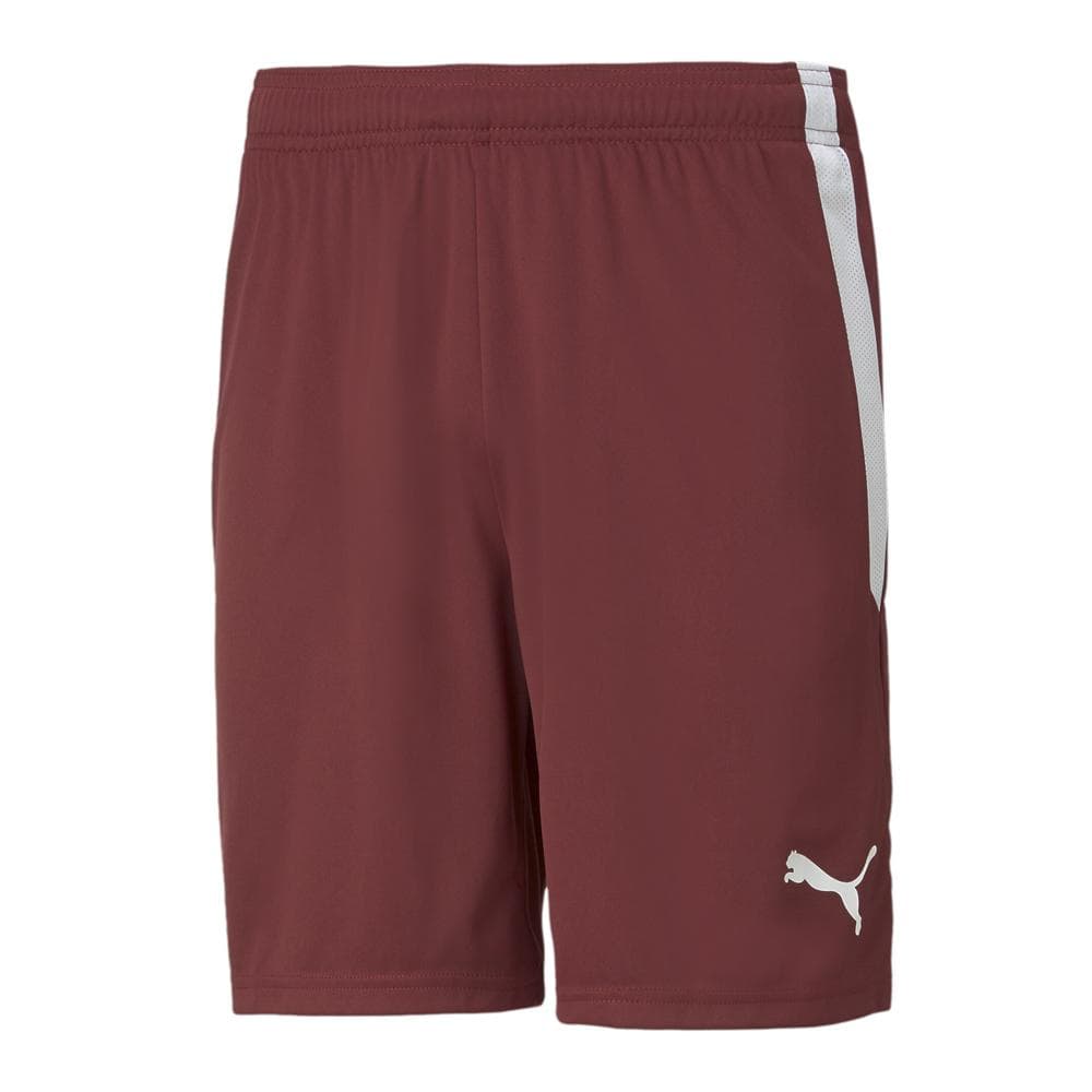 Short de Sport Rouge Homme Puma Teamliga 1