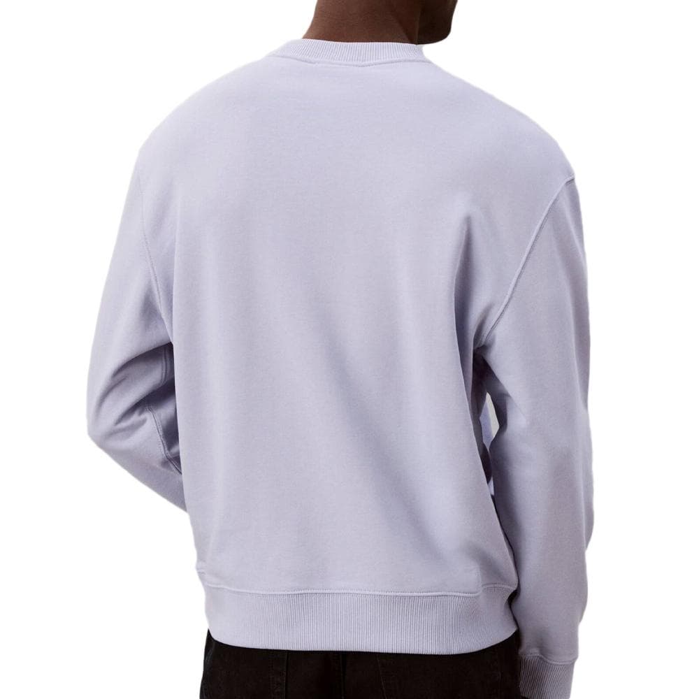 Sweat Bleu Homme Calvin Klein Jeans 350terry Mono 2