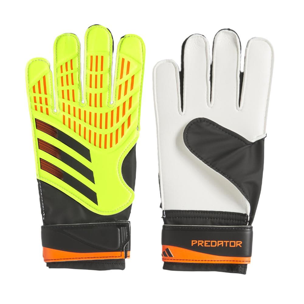 Gants de gardien de but d'entraînement Adidas Predator 1