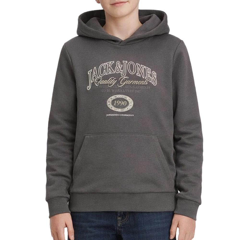 Sweat Gris Garçon Jack & Jones Ari 1