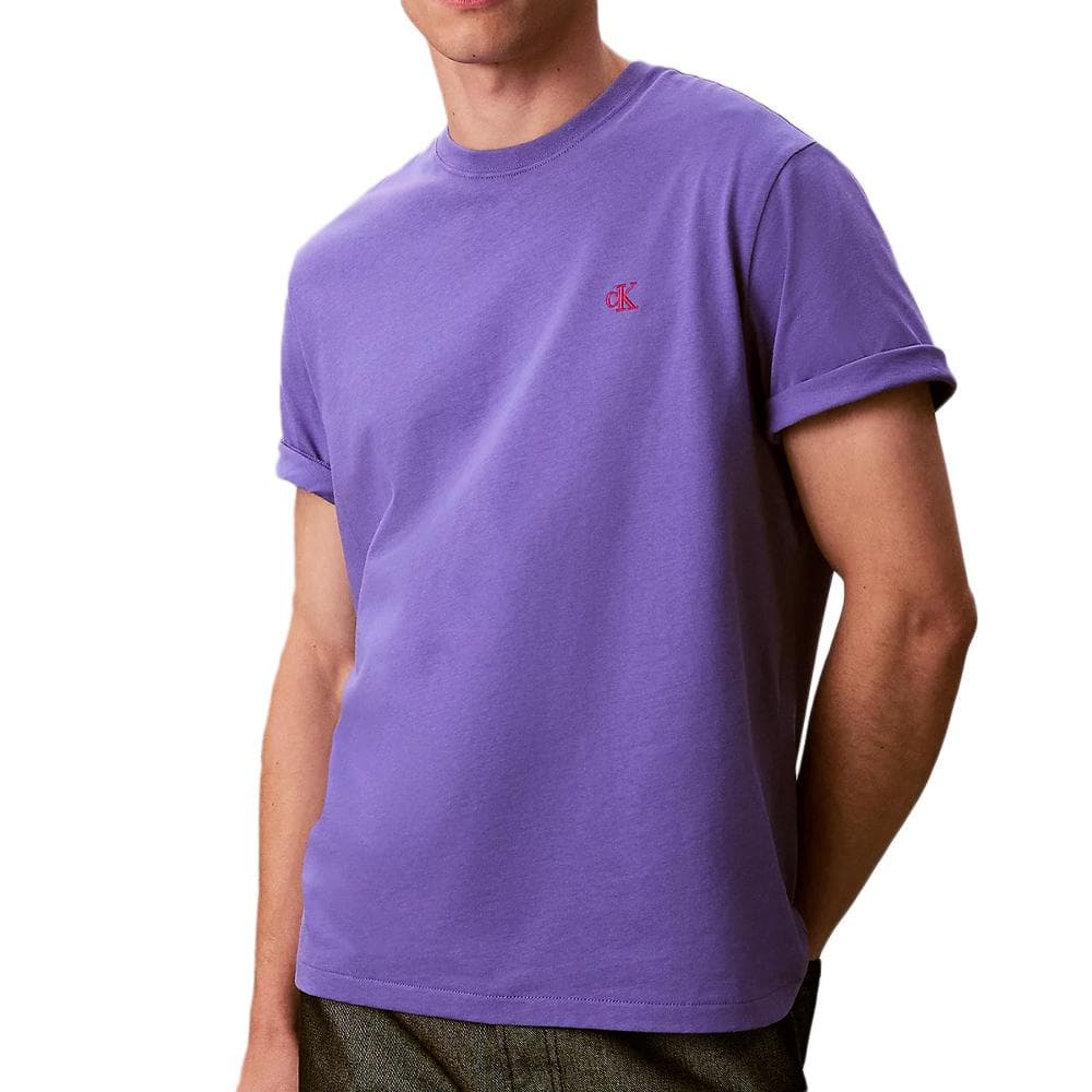 T-Shirt Violet Homme Calvin Klein Jeans Easy LV04RC275G 1