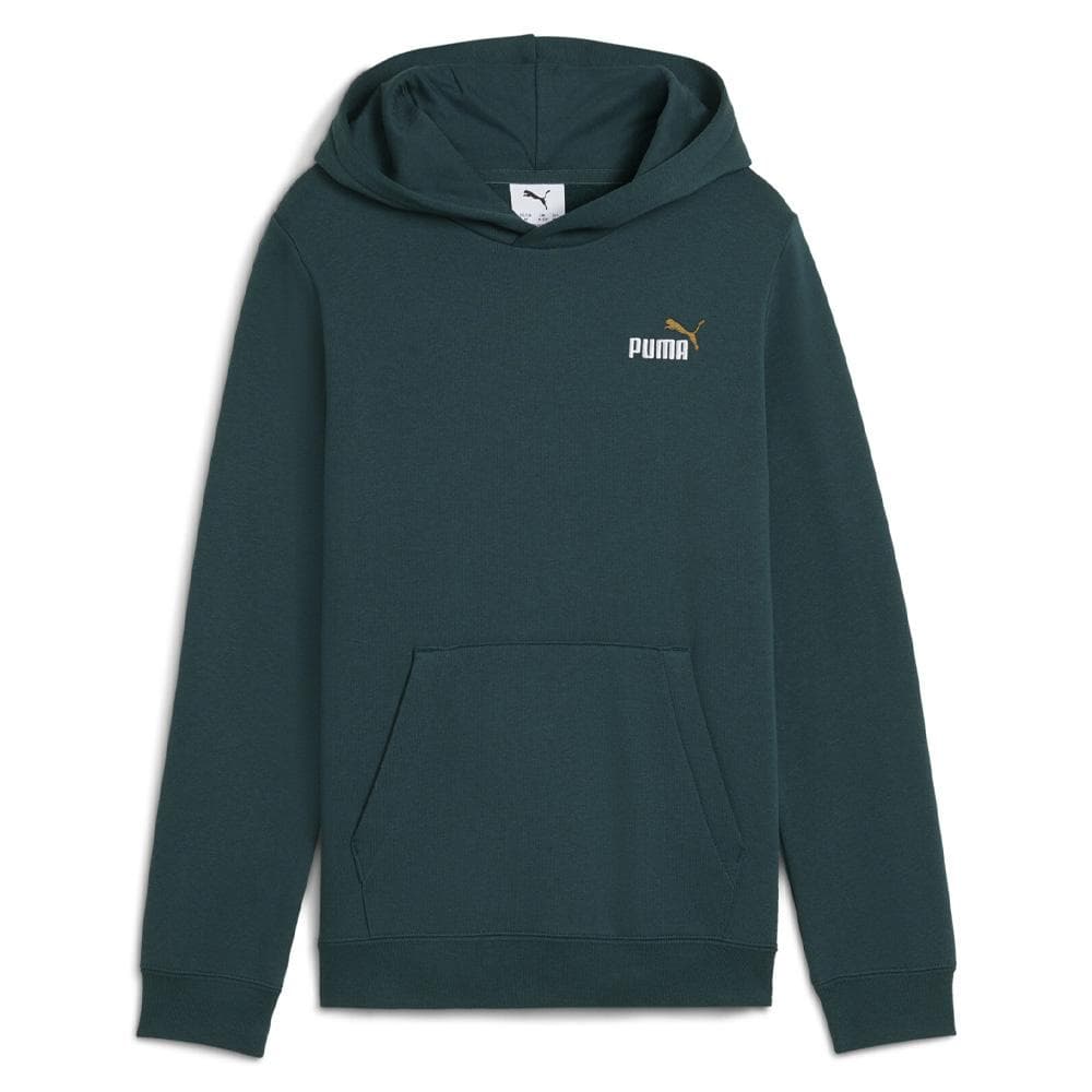 Sweat Vert Garçon Puma 685825 1